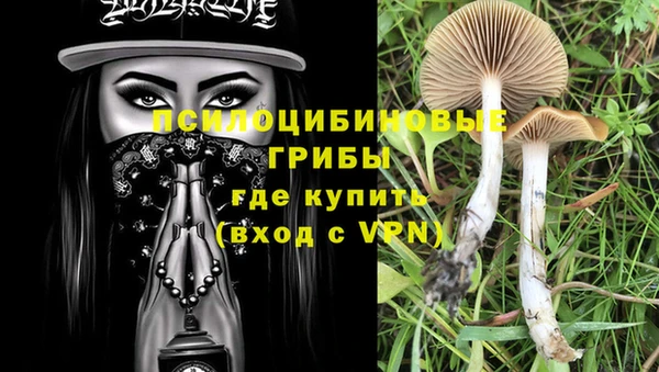 стафф Ладушкин