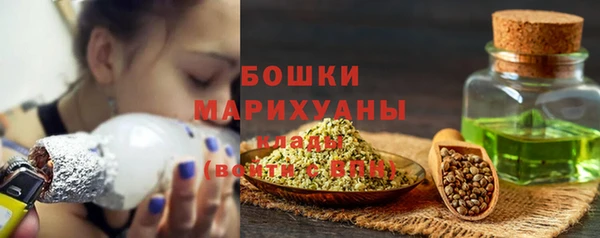 стафф Ладушкин
