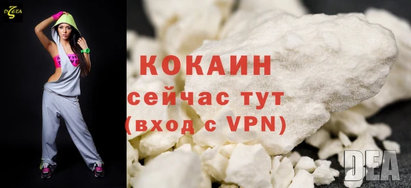 стафф Ладушкин