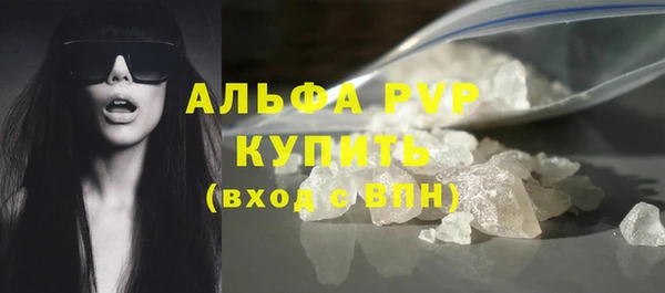 стафф Ладушкин