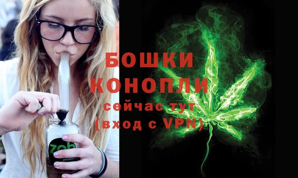 стафф Ладушкин