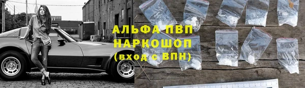 стафф Ладушкин